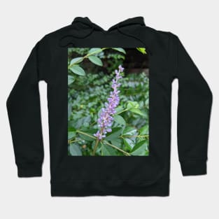 Rod of Lavender Bulbs Photographic Image Hoodie